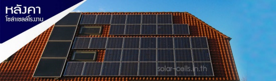 1_1829369384_690386904